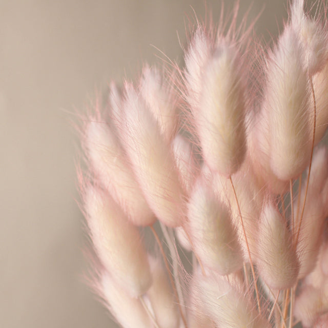 【ドライ】42055-102 ラグラス・ツートン ホワイトピンク