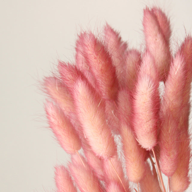 42055-122 ラグラス・ツートン カシスピンク