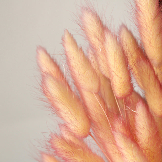 42055-512 ラグラス・ツートン イエローピンク