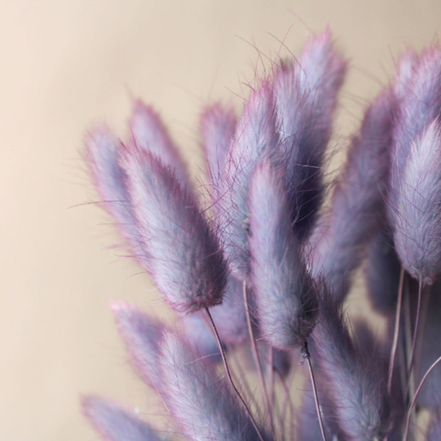 42055-642 ラグラス・ツートン ブルーパープル