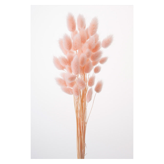 【ドライ】42060-141 ハニーテール エンジェルピンク