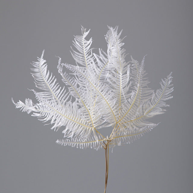 【ドライ】50293-011 山シダ 特大 白