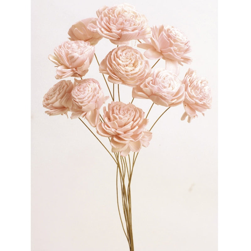 【ドライ】32081-141 ソーラーローズ・小 エンジェルピンク