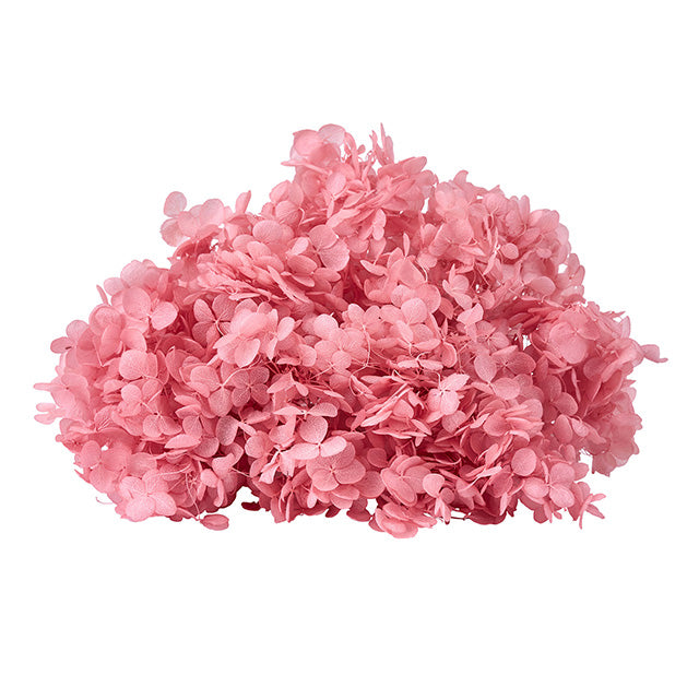 FD4730-162 ソフトあじさいアナベル グァバ