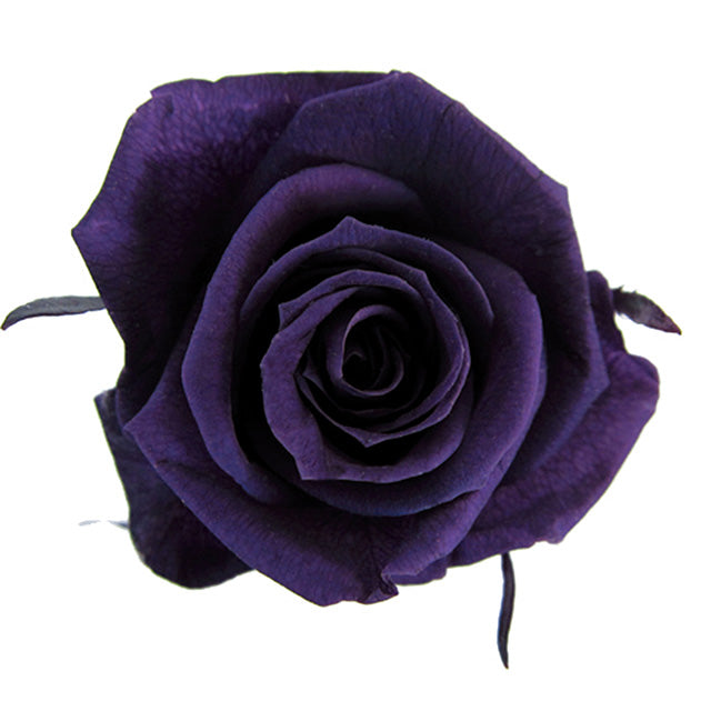 【プリザ】FL70-18 スプレーローズ バイオレット