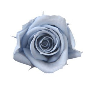 【プリザ】FL70-56 スプレーローズ コットンブルー