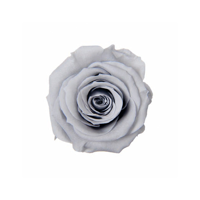 【プリザ】FL50-83 ベイビーローズ シルキーグレー