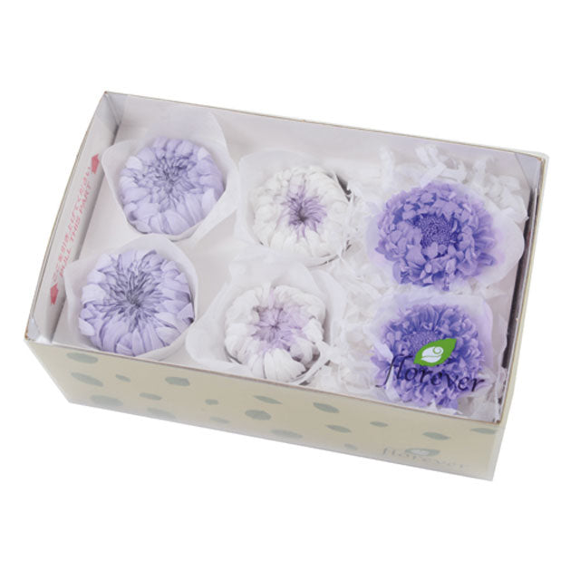 【プリザ】フロールエバー プリザーブドフラワー FLP45144-140 マムパレット ライラックミックス 花材通販 プリフラSHOP