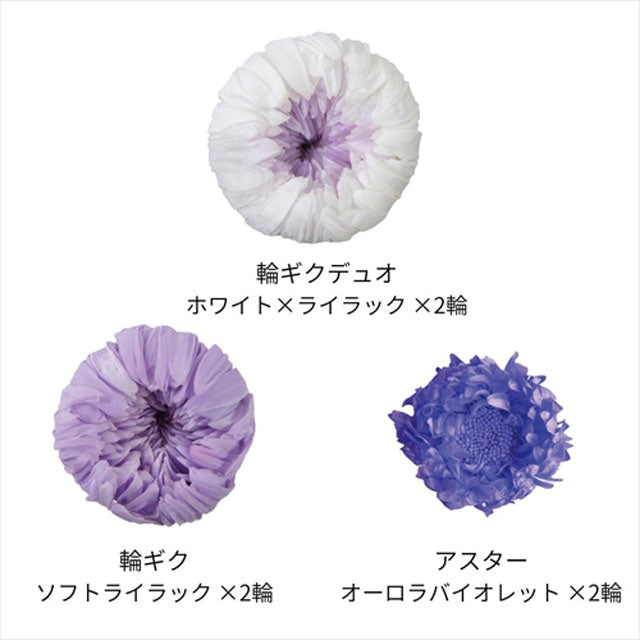 【プリザ】フロールエバー プリザーブドフラワー FLP45144-140 マムパレット ライラックミックス 花材通販 プリフラSHOP