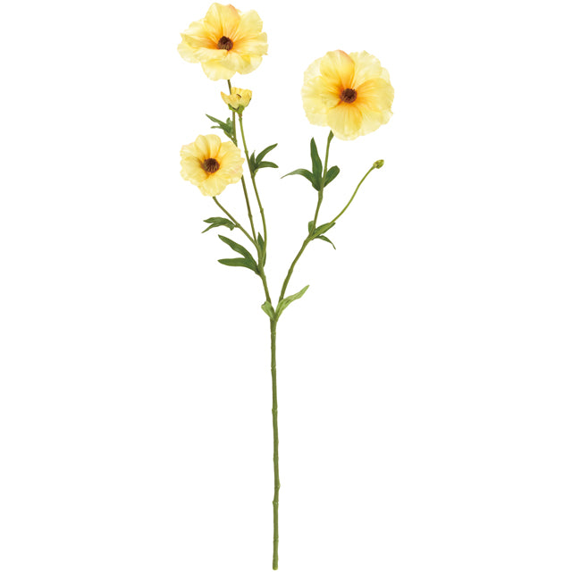 FM4119-21 リュクスラナンキュラス DK.YL