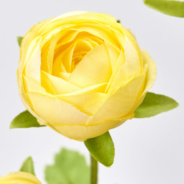 FM4777-4 グローブラナンキュラス イエロー