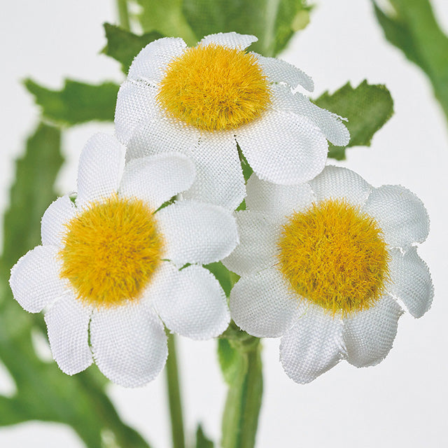 【造花】【MAGIQ 東京堂】卸販売 FM7155 ボヌールカモミール 1本 カモミール 白い花 ハーブティー デージー 造花専門店 花材卸 プリフラSHOP