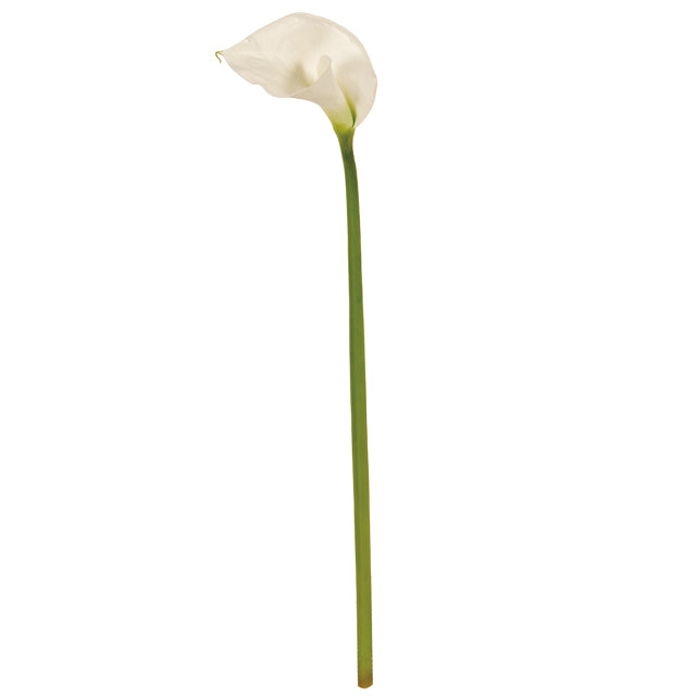 【造花】FW99053-1 ヴィンセントカラー L ホワイト