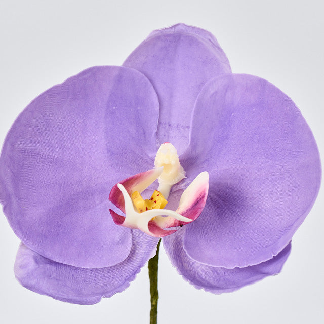 【造花】1本から卸販売通販 アミュゼファレノ ラベンダーパープル #17 造花専門店 花材問屋プリフラSHOP