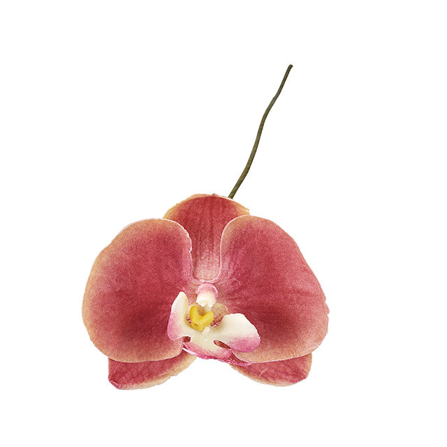 【造花】1本から卸販売通販 アミュゼファレノ アプリコット #42 東京堂 MAGIQ 造花専門店 花材問屋プリフラSHOP