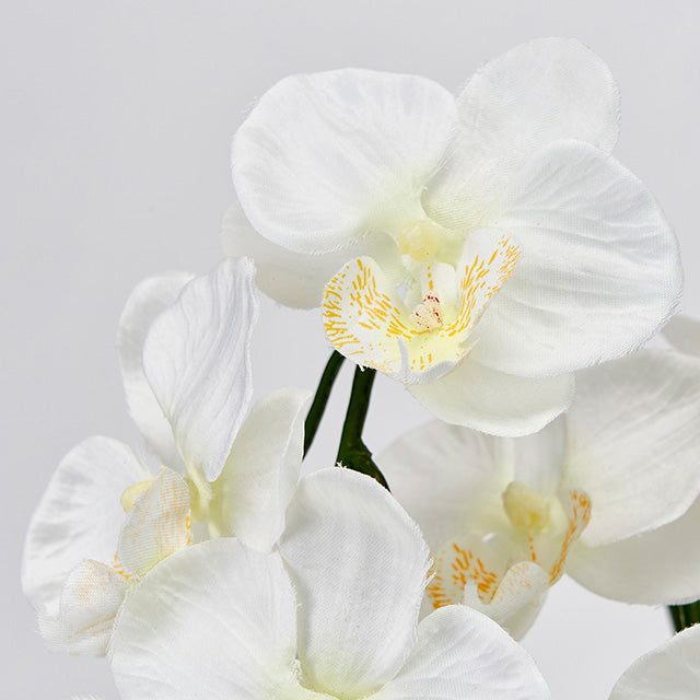 【造花】胡蝶蘭 3本立て 光触媒加工済