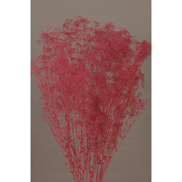 【プリザーブド】【卸販売】00010-480 ミニカスミ草 ワイン 大地農園 プリザーブドフラワー専門店 花材卸