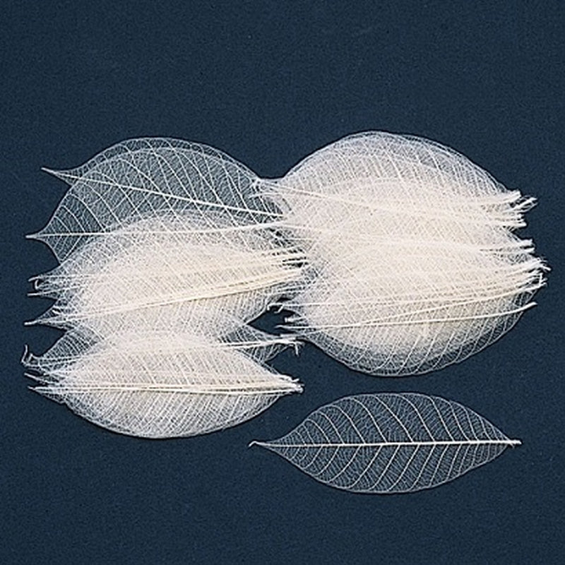 51493-011 ミニスケルトンリーフ・小 白