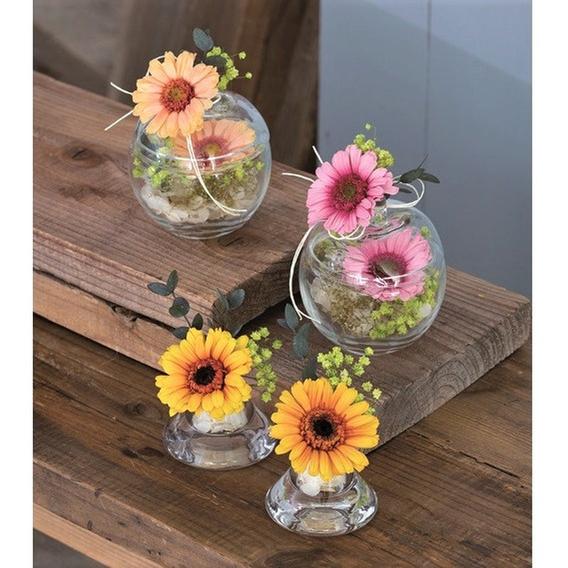 【大地農園】【プリザ】 ガーベラ 色 花材販売 プリフラSHOP