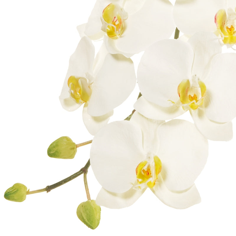 【造花】FW93614-1 ファレノジュリアーノ L ホワイト