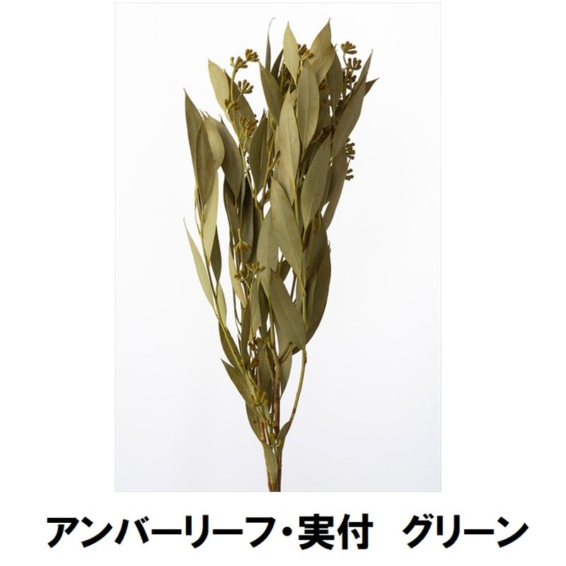 【ドライ】40150-700 アンバーリーフ・実付 グリーン