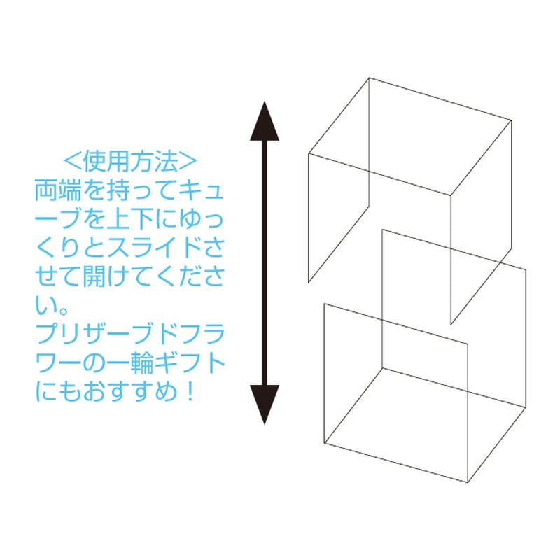 【ケース】UK151 クリアカレ L
