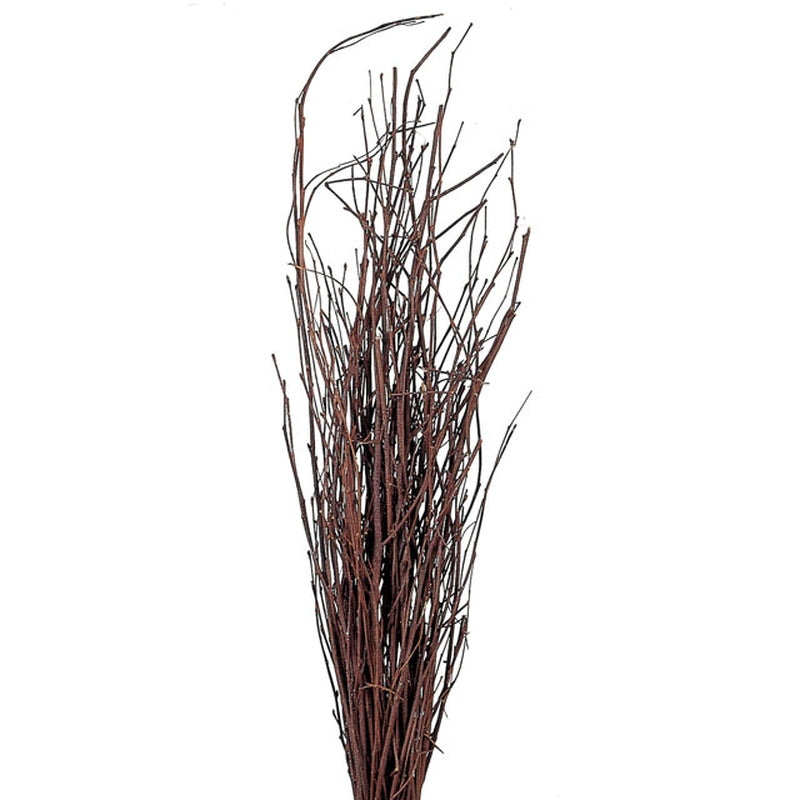 【ドライ】50780-000 白樺小枝 ナチュラル