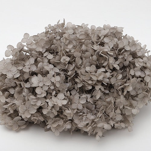 【プリザ】64253 ソフトあじさいアナベル グレー