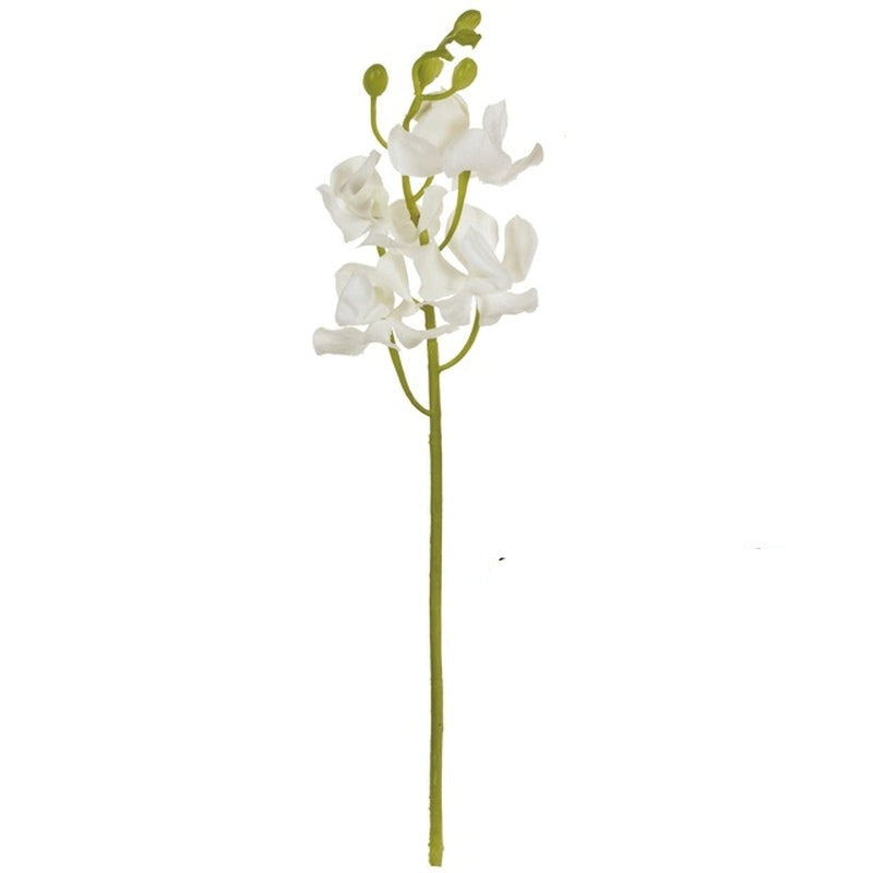 FM4516-1 ミニモカラ ホワイト