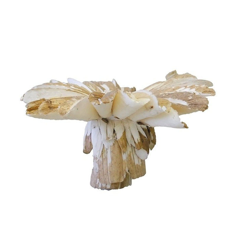 36Z001-S0650 ソラ ヒマワリ M 茶