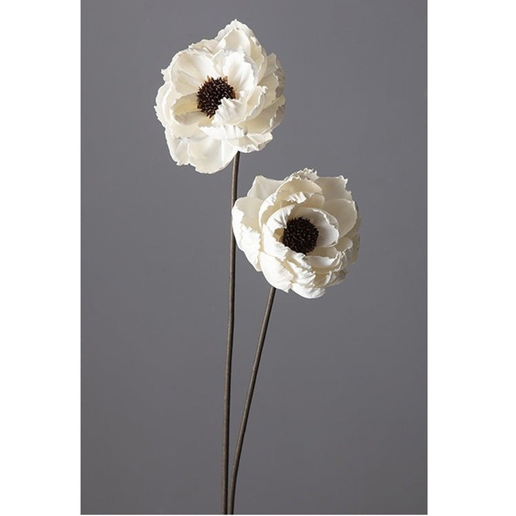 32390-010 ソーラーシャクヤク 白