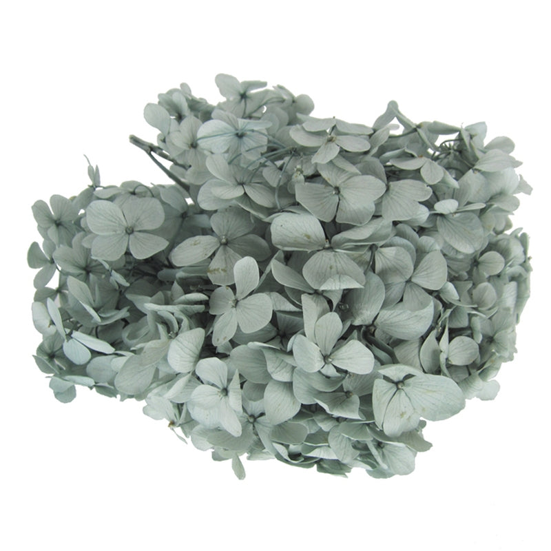 【プリザーブド】フロールエバー/アンデスアジサイ ミストグリーン 約20g輪/FL291-42