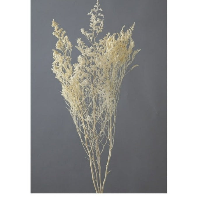 【サラシ】03710-011 カスピア オフホワイト