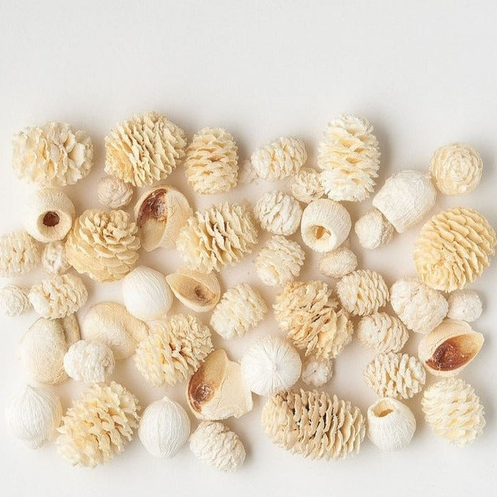 24840-010 ミックスナッツ 白