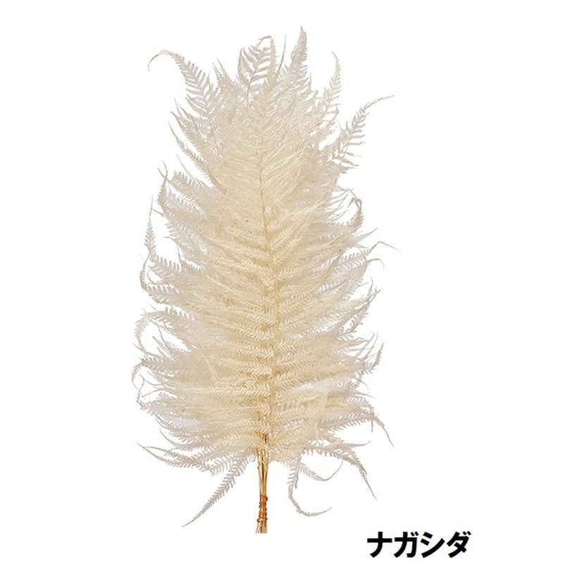 50340-011 ナガシダ 白