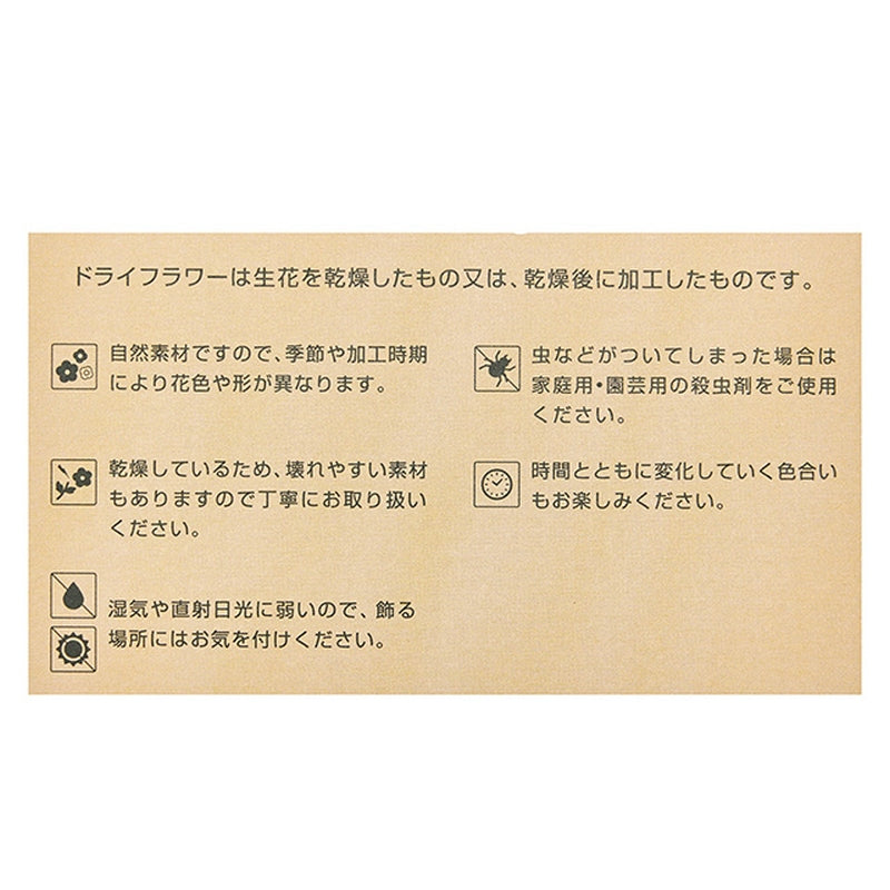 ZS40 ドライフラワーカード 説明