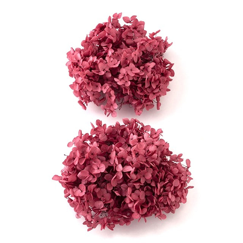 【プリザ】02160-281 アナベル・ヘッド カシスピンク