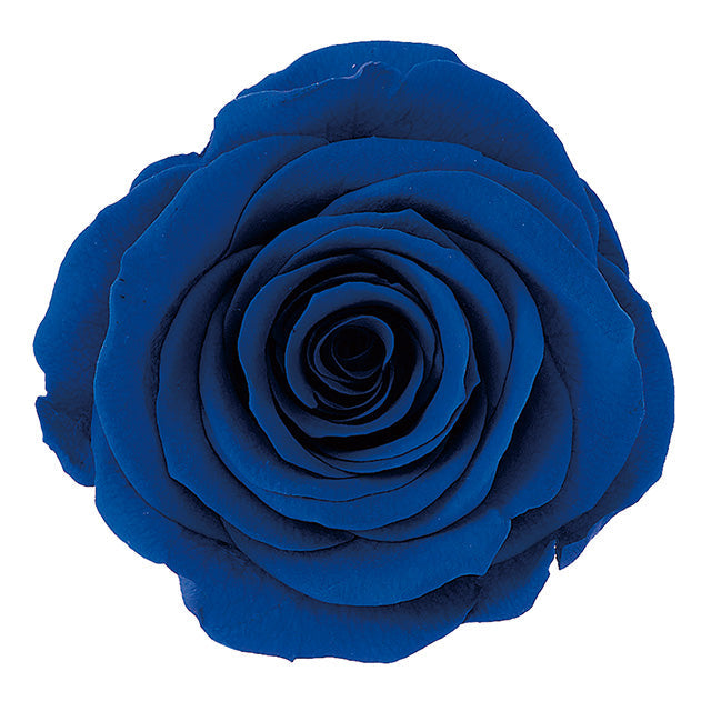 【プリザ】05202-661 ローズ・かのん・M インディゴブルー