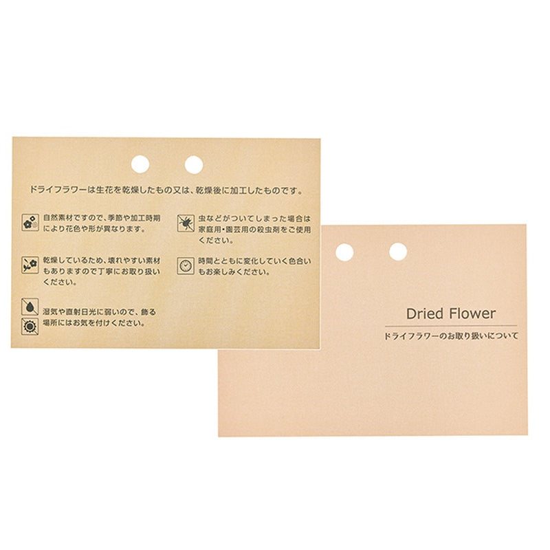 ZS40 ドライフラワーカード 説明