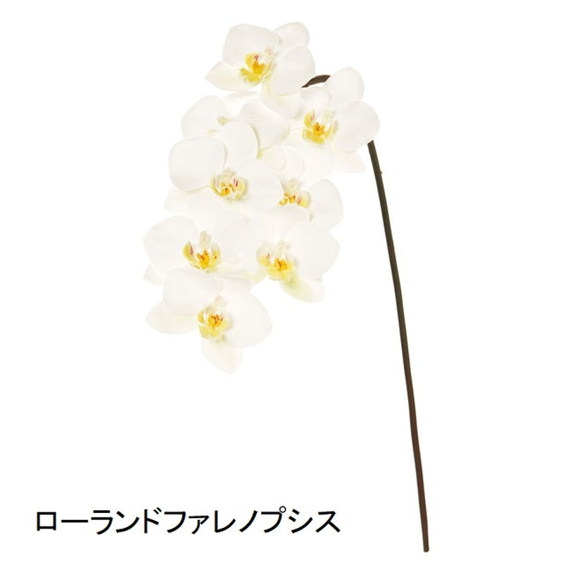 ローランドファレノプシス・ホワイト・造花・東京堂 蘭
