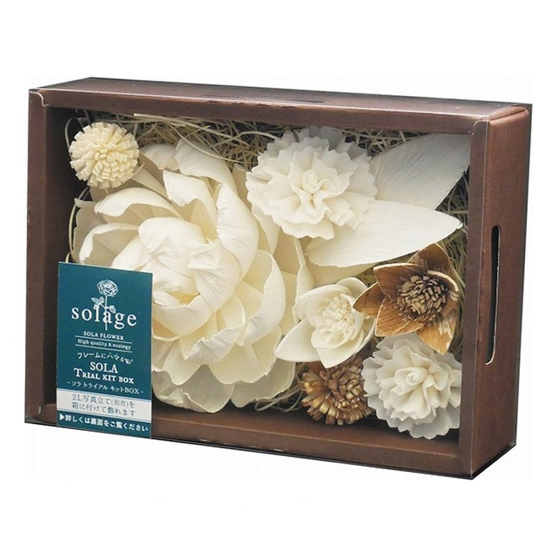 36Z100-T000B ソラトライアルキットBOX ピオニー