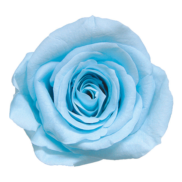 【プリザ】FL70-13 スプレーローズ パウダーブルー