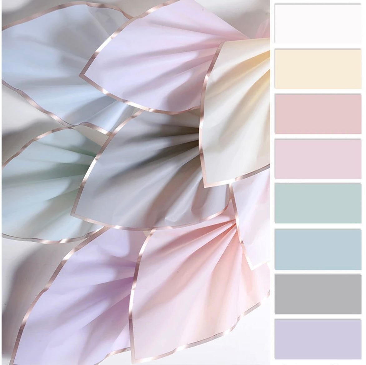 【ラッピング】No.16 カスタード ゴールドエッジド