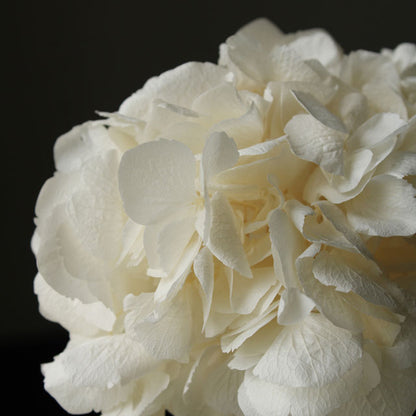 【ギフト】幸せのアジサイ　スティックバルーン