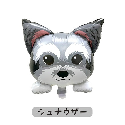 わんこ　ペット　ぺット葬　ミニチュアシュナウザー　シュナウザー　逆止弁　バルーン