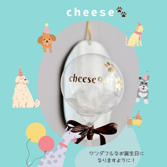 ペットバルーン｜記念日