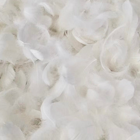 グースフェザー　ホワイト　約10枚　PFバルーン　confetti　羽　羽毛　コンフェッティ