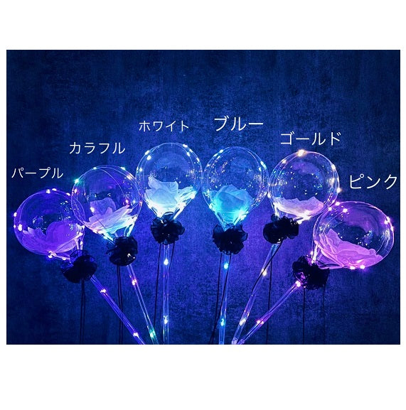 LEDイルミナ｜イルミネーション