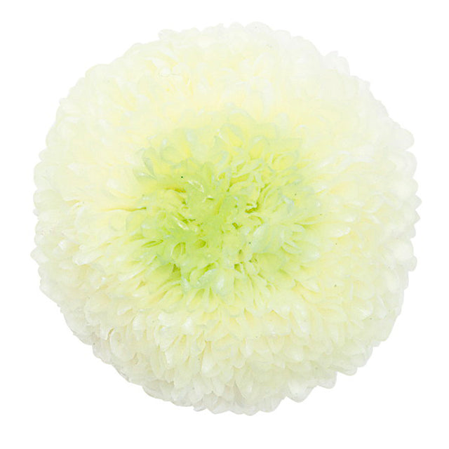 ポンポン菊・ミディ　花材通販　プリフラSHOP　3割引