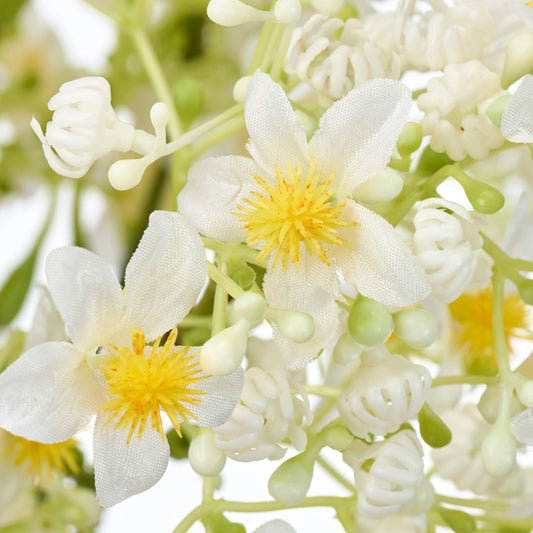 【誕生花ギフト】カスミ草のバルーンフラワー　No.251